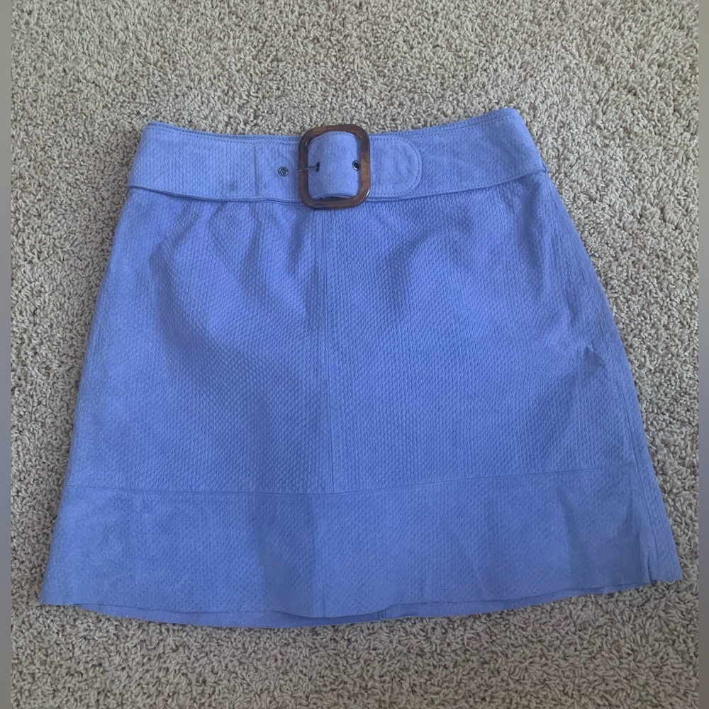 Anthropologie Skirt, Pig Leather, US4